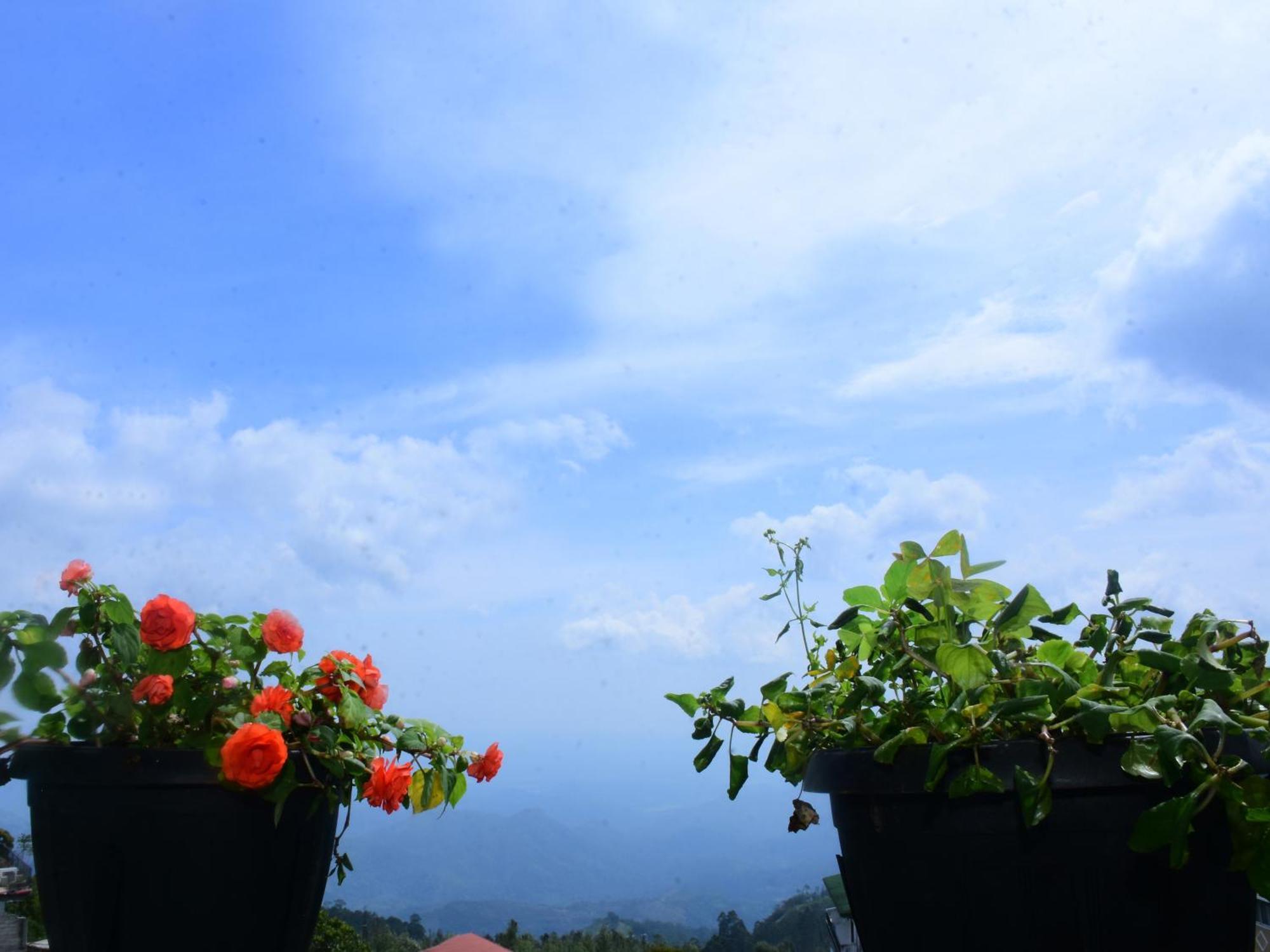 Grand View Guest House Haputale Dış mekan fotoğraf